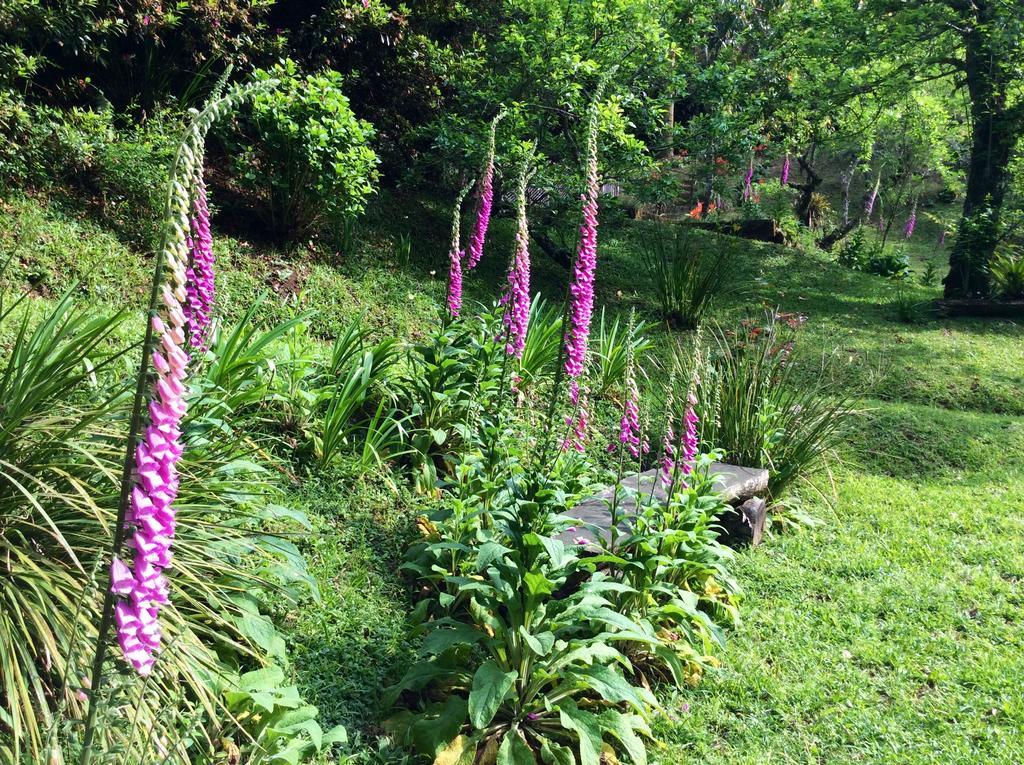 Sitio Nossa Senhora De Loreto Campos do Jordao Dış mekan fotoğraf