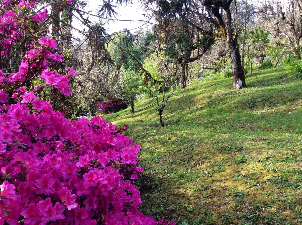 Sitio Nossa Senhora De Loreto Campos do Jordao Dış mekan fotoğraf